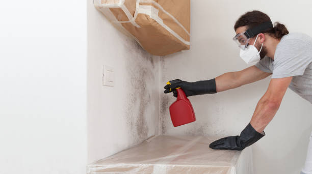 Professional Hvac And Air Duct Mold Remediation technician working in Omena, MI